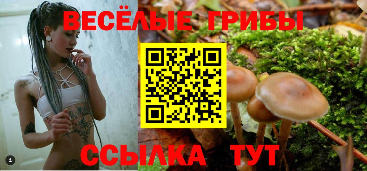 где купить наркотик  Вход с VPN  Псилоцибиновые грибы Magic Shrooms  Жуковский  Галлюциногенные грибы GOLDEN TEACHER 